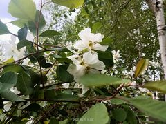 -长春公园(普阳街道)