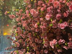 -鹅滋道(甘坑古镇店)