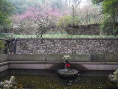 -宁波市保国寺古建筑博物馆