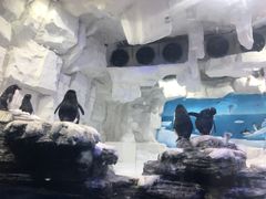 -华夏文旅海洋公园