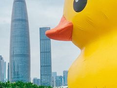 -深圳人才公园