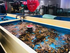 水产区-日进一片海.生腌海鲜火锅.宵夜烧烤(三里屯总店)