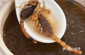 Gecko and Codonopsis Chicken Soup