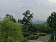 -羊山湖公园
