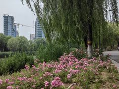 -河北省园博园