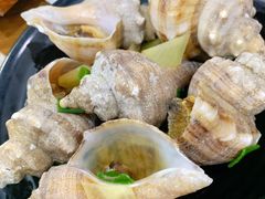 白灼海螺-老虎滩大连海鲜烧烤(建邺云锦路总店)