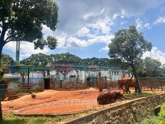 -昆明动物园