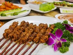 红柳羊肉串-鱼乐乐(Happy Fish)