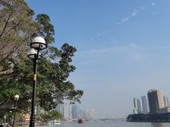 -清新鸡沙田乳鸽店(金融店)