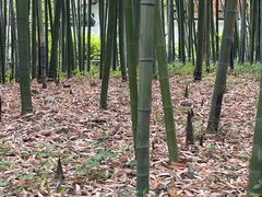 -汇龙潭