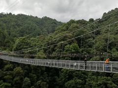 -九龙江国家森林公园