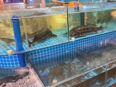 -蓝珊甄选海鲜自助·火锅大排档(近阿那亚店)