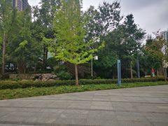 -活水公园