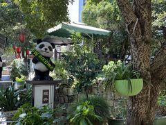 -阿巧茶庄
