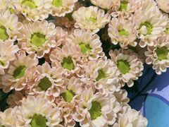 -循礼门鲜花花市(武汉循礼门店)