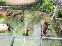 -深圳野生动物园