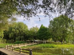 -长广溪湿地公园