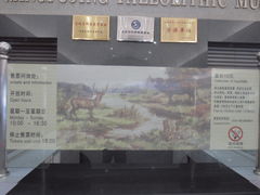 平面分布图-王府井古人类文化遗址博物馆