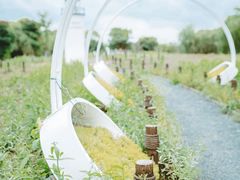 -梁鸿国家湿地公园