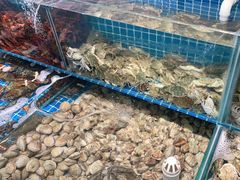 水产区-港畔赶海蒸汽海鲜烧烤自助(仙螺岛店)