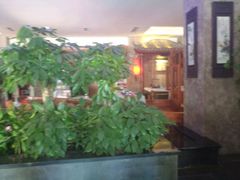 -碧露轩·大益茶体验馆(镇江路店)