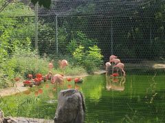 -石家庄市动物园