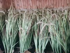 -同庆楼(王府井店)