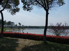 景点-美兰湖景区
