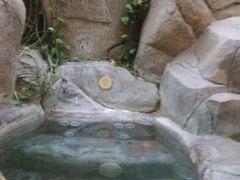 android_upload_pic-金隅凤山酒店