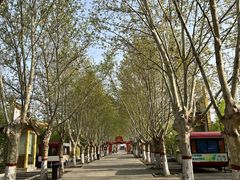 -白佛山景区