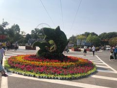 -石家庄市动物园