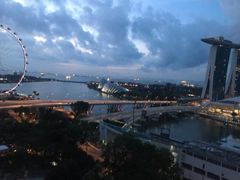 -新加坡文华东方酒店