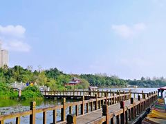 -三圣花乡旅游区