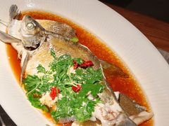 醋蒸武昌鱼-夏氏砂锅(万松园店)