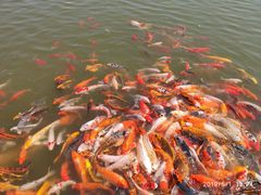 -北戴河圣蓝海洋公园