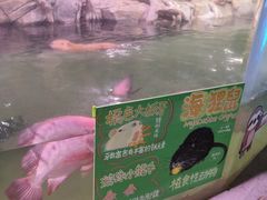 -正佳雨林生态植物园