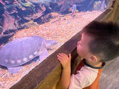 -华夏文旅西安度假区