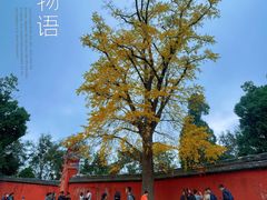 -金堂县云顶石城风景区