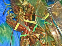 -海煮叹鲜·粥底火锅·港式海鲜打边炉(赛银国际广场店)