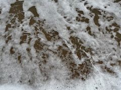 -白城沙滩
