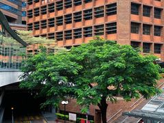 -香港理工大学