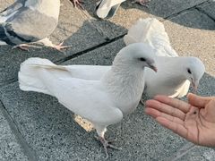-北京世界公园