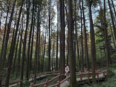 -波尔登森林公园
