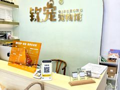 -钦宠·猫咪售卖·洗护·寄养(东圃旗舰店)