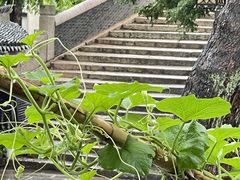 -小草屋轰趴馆别墅派对新场团建家庭聚会