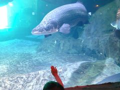 -华夏文旅海洋公园