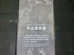 -中国西峡恐龙遗迹园