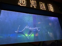 -洛阳龙门海洋馆