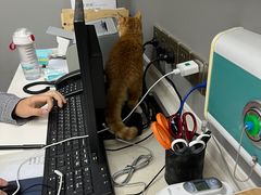 -关爱宠物医院·猫科中心·消化科(滨湖万达分院)