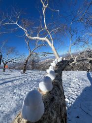 -大秃顶子山